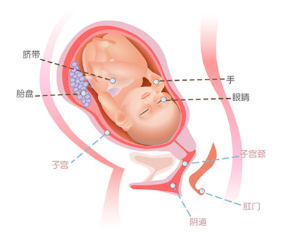 羊水的计算方法